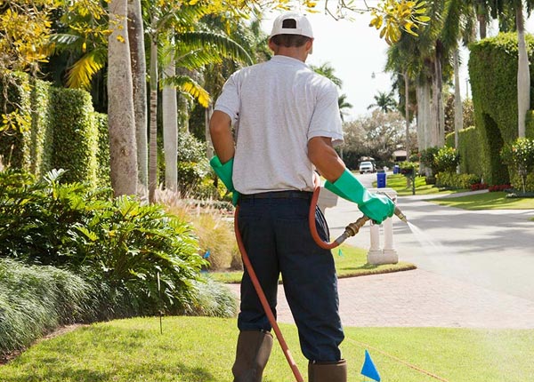 About Feura Bush NY Pest Control